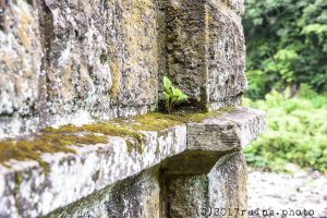 沈堕発電所跡 沈堕発電所跡