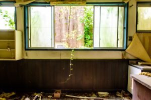 the Hotel Cadillac House調理場の窓 the Hotel Cadillac House調理場の窓