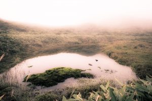 天上山ババア池 天上山ババア池