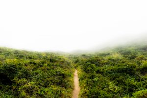 天上山登山道 天上山登山道