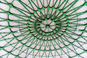 太陽小学校:円形体育館の天井