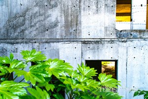 ブラックマンション:1階壁面 ブラックマンション:1階壁面