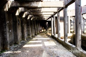 第二武智丸内部 第二武智丸内部