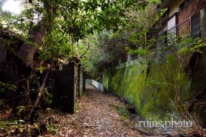 田浦住宅街:メインストリートとなる道