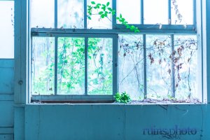 jyonan-Juniorhighschool-5