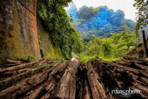 飯田線旧線大崩隧道:大崩隧道出口(静岡方面)(長野県天龍村) 飯田線旧線大崩隧道:大崩隧道出口(静岡方面)(長野県天龍村)