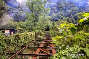 飯田線旧線大崩隧道:大崩隧道から見た精進隧道(長野県天龍村) 飯田線旧線大崩隧道:大崩隧道から見た精進隧道(長野県天龍村)