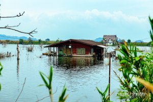 鹿忍グリーンファーム、水に浮かぶ管理棟と思われる建物(岡山県瀬戸内市) 鹿忍グリーンファーム、水に浮かぶ管理棟と思われる建物(岡山県瀬戸内市)
