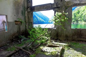 旧摺子発電所内部（樹木が生えている）