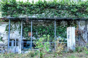 都井岬グランドホテル、蔦で覆われた壁(宮崎県串間市) 都井岬グランドホテル、蔦で覆われた壁(宮崎県串間市)